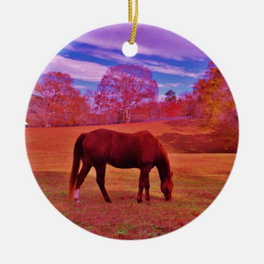 DSCF0536.JPG KERAMISCH ORNAMENT (Voorkant)