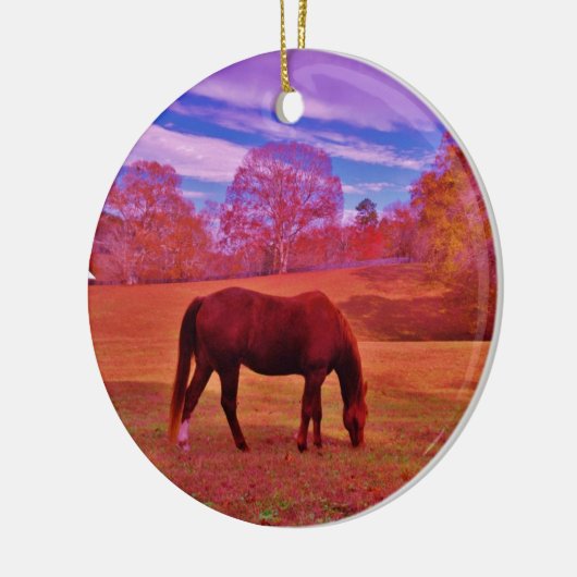 DSCF0536.JPG KERAMISCH ORNAMENT (Links)