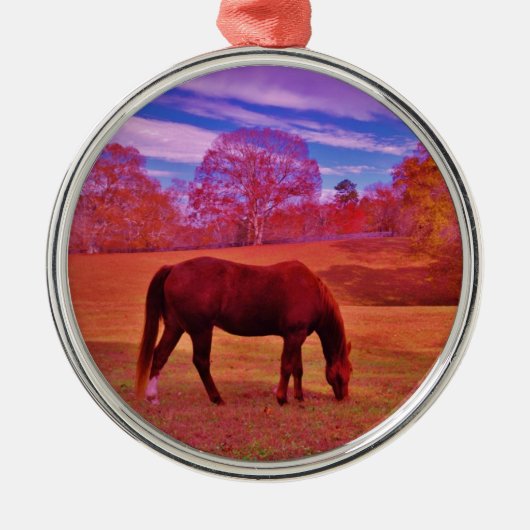 DSCF0536.JPG METALEN ORNAMENT (Voorkant)