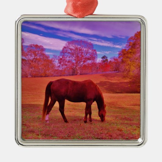 DSCF0536.JPG METALEN ORNAMENT (Voorkant)