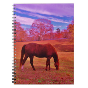 DSCF0536.JPG NOTITIEBOEK