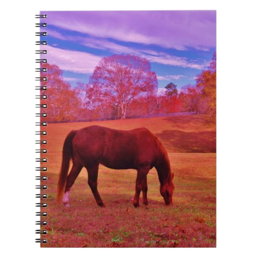 DSCF0536.JPG NOTITIEBOEK (Voorkant)