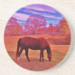 DSCF0536.JPG ZANDSTEEN ONDERZETTER