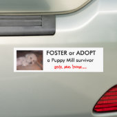 DSCF0636, FOSTER of ADOPT                      ... Bumpersticker (Op auto)