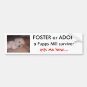 DSCF0636, FOSTER of ADOPT                      ... Bumpersticker (Voorkant)