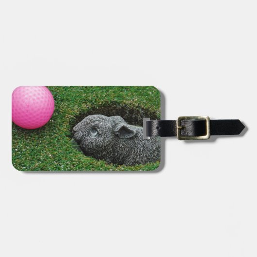 DSCF0652.JPG BAGAGELABEL (Voorkant horizontaal)