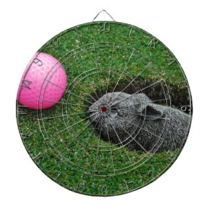 DSCF0652.JPG DARTBORD