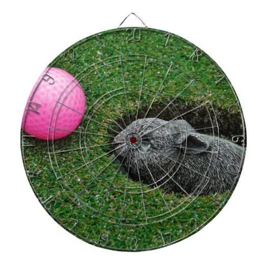 DSCF0652.JPG DARTBORD (Voorkant)