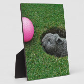 DSCF0652.JPG FOTOPLAAT (Zijkant)