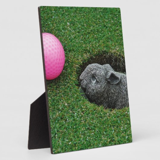 DSCF0652.JPG FOTOPLAAT (Zijkant)