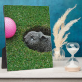 DSCF0652.JPG FOTOPLAAT (Zijkant)