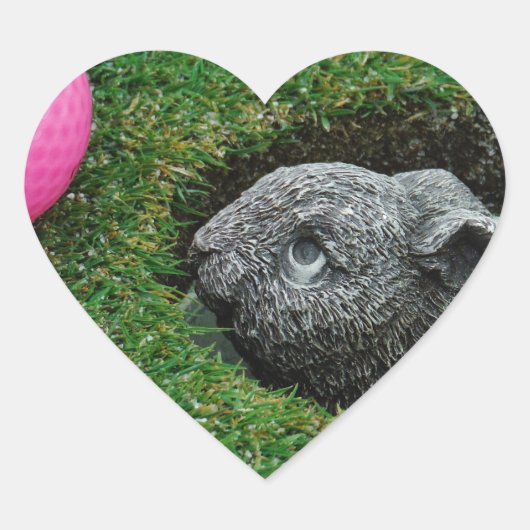 DSCF0652.JPG HART STICKER (Voorkant)