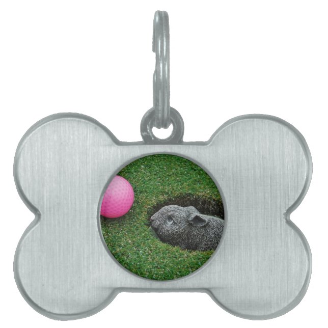 DSCF0652.JPG HUISDIEREN NAAMPLAATJE (voorkant)