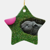 DSCF0652.JPG KERAMISCH ORNAMENT (Voorkant)