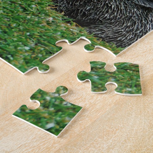 DSCF0652.JPG LEGPUZZEL (Zijkant)