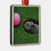 DSCF0652.JPG METALEN ORNAMENT (Rechts)