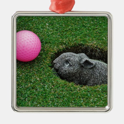 DSCF0652.JPG METALEN ORNAMENT (Voorkant)