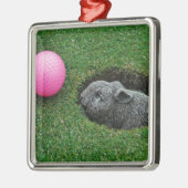 DSCF0652.JPG METALEN ORNAMENT (Links)