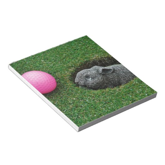 DSCF0652.JPG NOTITIEBLOK (Schuin)