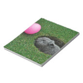 DSCF0652.JPG NOTITIEBLOK (Linkerzijde)