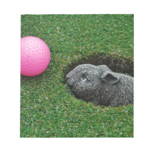 DSCF0652.JPG NOTITIEBLOK