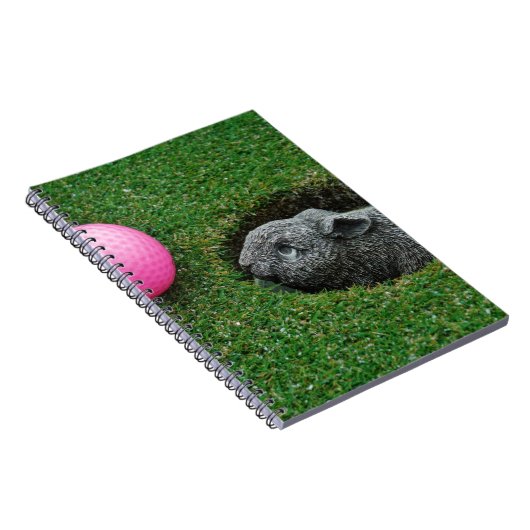 DSCF0652.JPG NOTITIEBOEK (Rechterzijde)