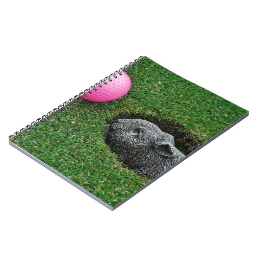 DSCF0652.JPG NOTITIEBOEK (Linkerzijde)