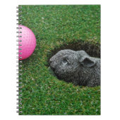 DSCF0652.JPG NOTITIEBOEK (Voorkant)