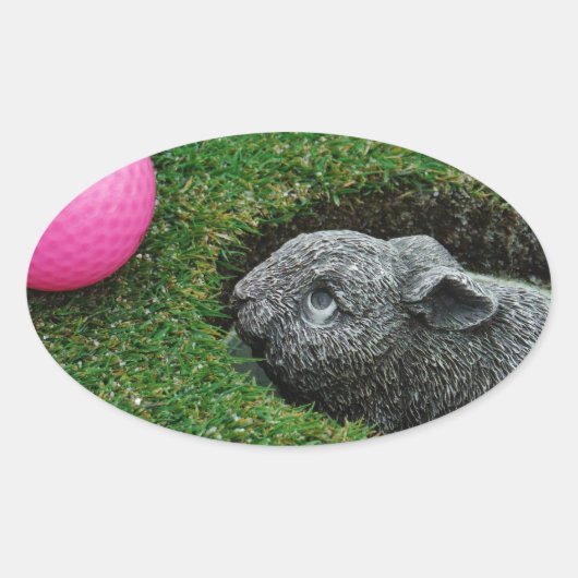 DSCF0652.JPG OVALE STICKER (Voorkant)