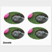 DSCF0652.JPG OVALE STICKER (Vel)