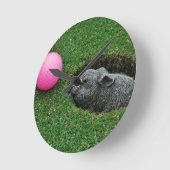 DSCF0652.JPG RONDE KLOK (Hoek)