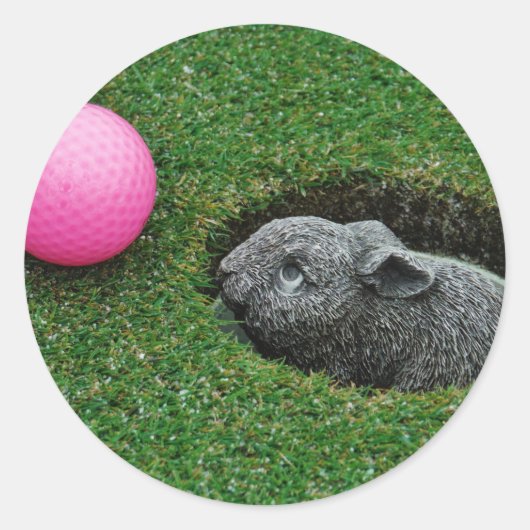 DSCF0652.JPG RONDE STICKER (Voorkant)