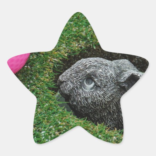 DSCF0652.JPG STER STICKER (Voorkant)