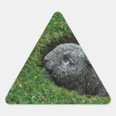 DSCF0652.JPG STICKER (Voorkant)