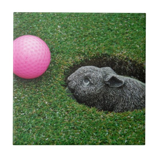 DSCF0652.JPG TEGELTJE (Voorkant)