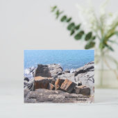 DSCF0691, Devonport,            TasmaniaAustralië Briefkaart (Staand voorkant)