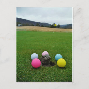 DSCF0692.JPG BRIEFKAART