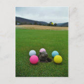 DSCF0692.JPG BRIEFKAART (Voorkant)