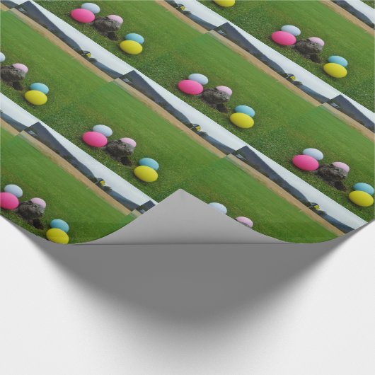 DSCF0692.JPG CADEAUPAPIER (Hoek)