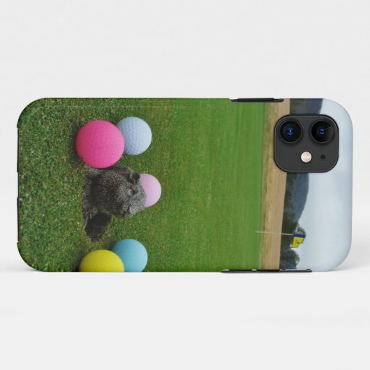 DSCF0692.JPG Case-Mate iPhone CASE (Achterkant (horizontaal))