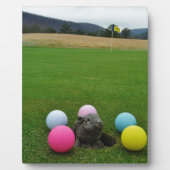 DSCF0692.JPG FOTOPLAAT (Voorkant)