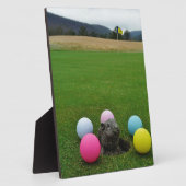 DSCF0692.JPG FOTOPLAAT (Zijkant)