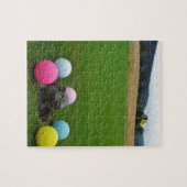 DSCF0692.JPG LEGPUZZEL (Horizontaal)