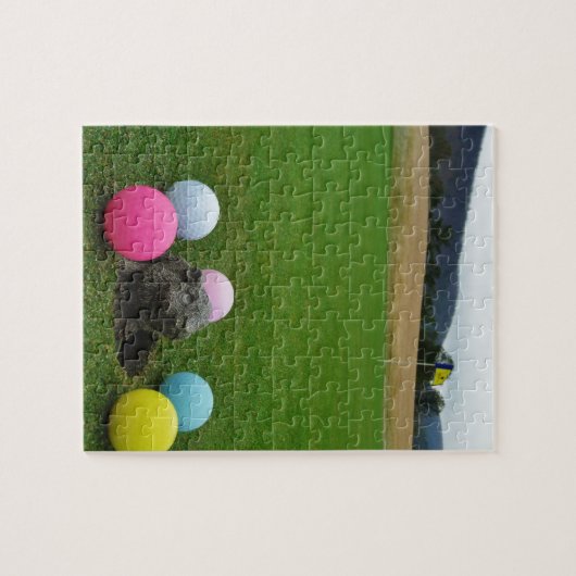 DSCF0692.JPG LEGPUZZEL (Horizontaal)