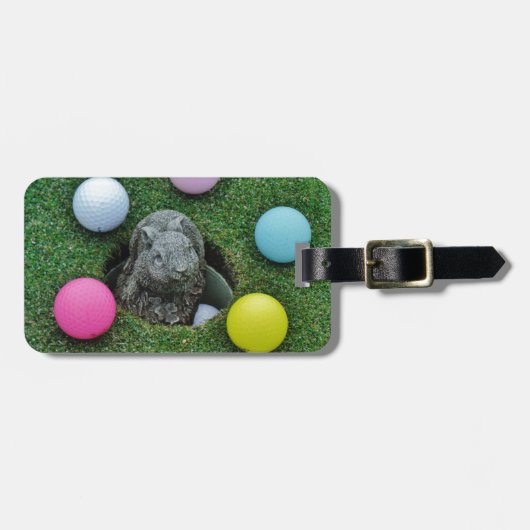 DSCF0698.JPG BAGAGELABEL (Voorkant horizontaal)