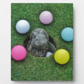 DSCF0698.JPG FOTOPLAAT (Voorkant)