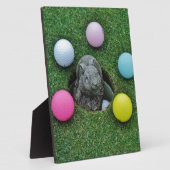 DSCF0698.JPG FOTOPLAAT (Zijkant)