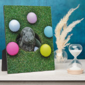 DSCF0698.JPG FOTOPLAAT (Zijkant)