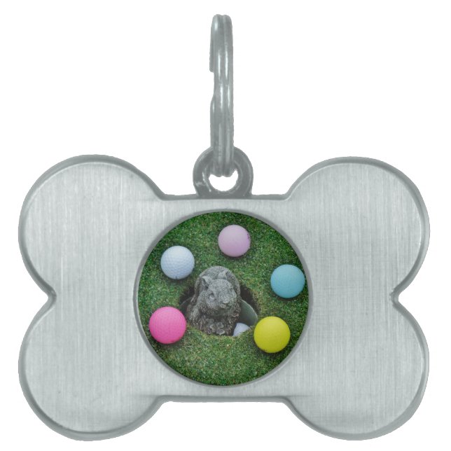 DSCF0698.JPG HUISDIEREN NAAMPLAATJE (voorkant)