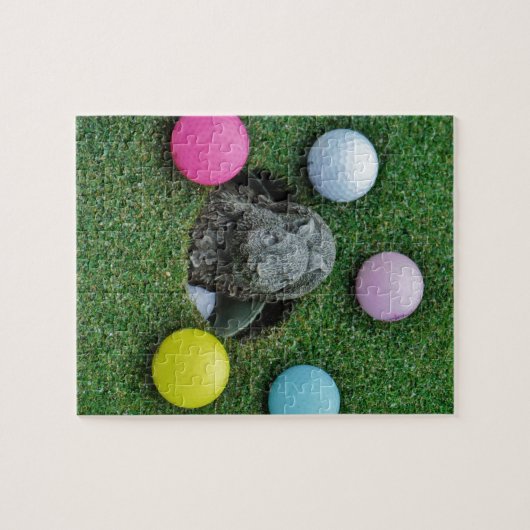 DSCF0698.JPG LEGPUZZEL (Horizontaal)